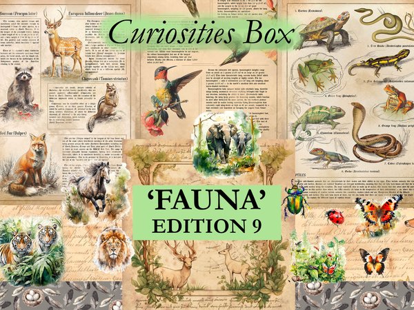 Fauna - May June 2024 subscription box image 1