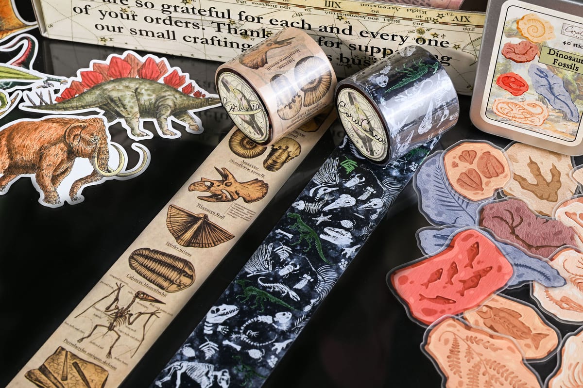 Prehistory - June 2024 subscription box image 3