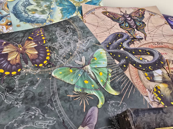 Mysteries of the Night - August 2024 subscription box image 1