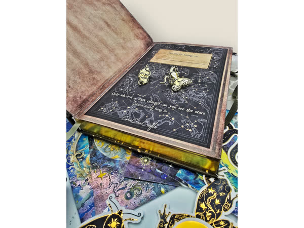 Mysteries of the Night - August 2024 subscription box image 2