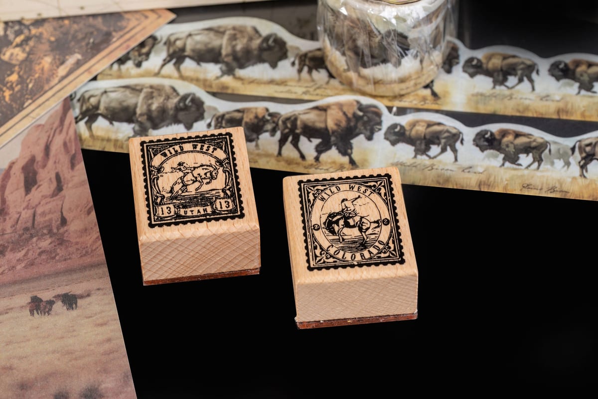 Wild West - August 2024 subscription box image 2