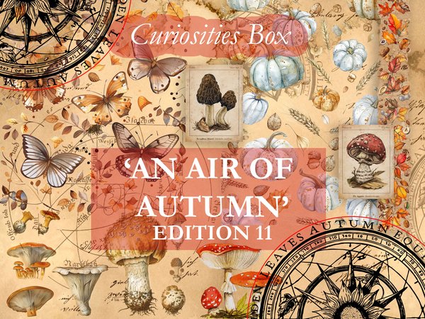 Autumn - September October 2024 subscription box image 1